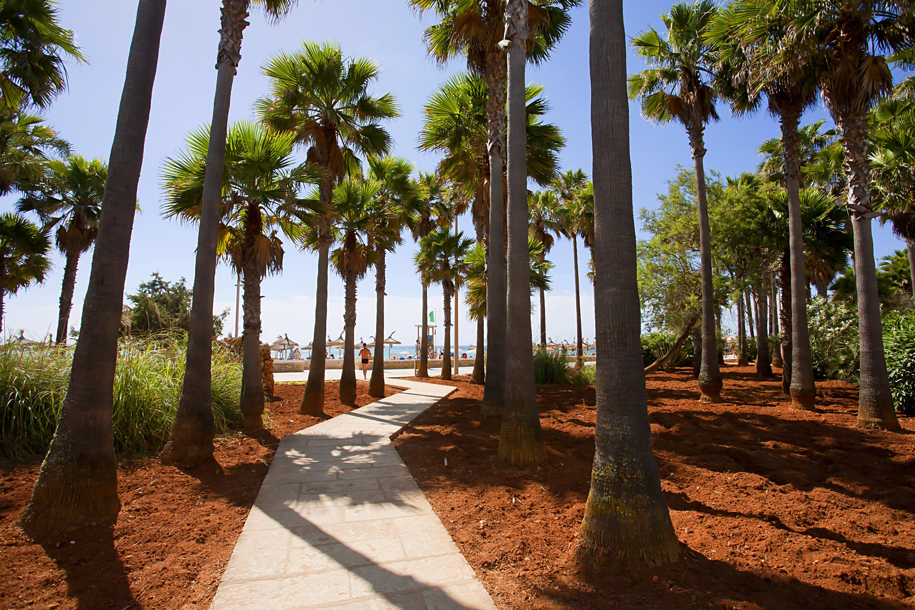 Hipotels Mediterraneo Club Sa Coma  Εξωτερικό φωτογραφία